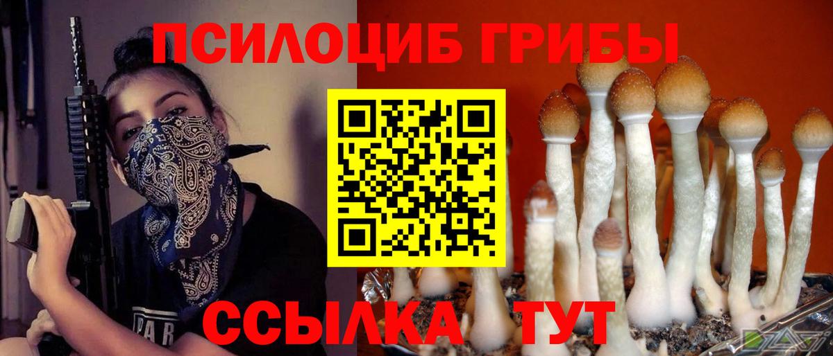 купить наркотик  Галлюциногенные грибы MAGIC MUSHROOMS  Вход с VPN  Галлюциногенные грибы ЛСД  Кашира 
